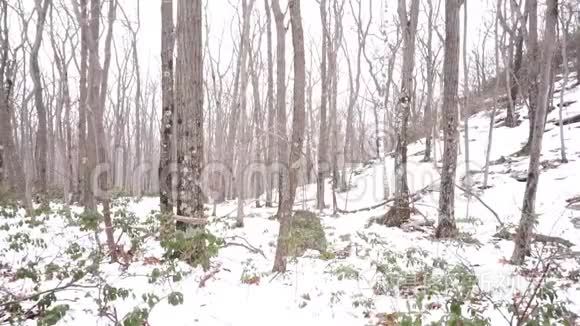 卡茨基尔斯的月桂山降雪视频