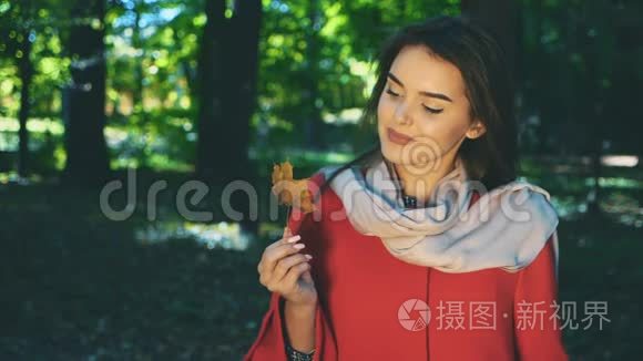 慢点。 穿着红色外套，脖子上戴着一条轻轻的粉红色围巾的漂亮女孩正看着公园里的秋叶，与世隔绝