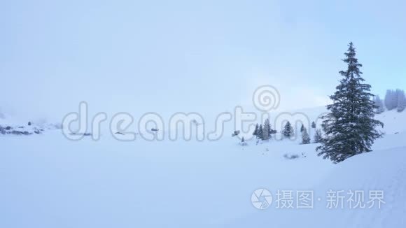 冬天的童话雪景视频