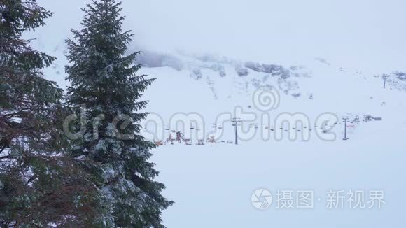 冬天的童话雪景视频
