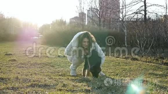 一个公园里的女人，日落时带着一只有趣的德国牧羊犬，和宠物一起散步放松