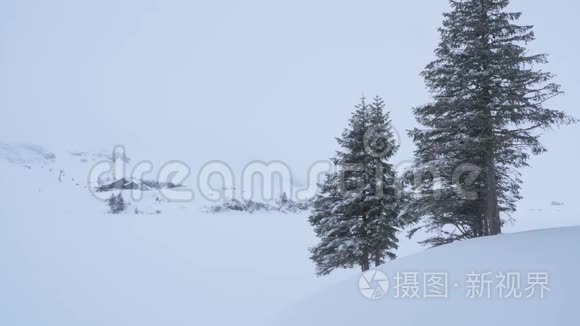 冬天的童话雪景视频