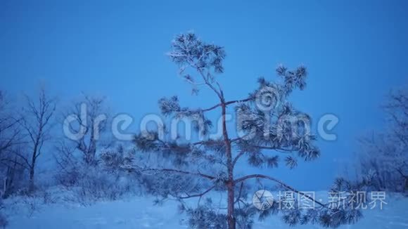 暴风雪景观视频