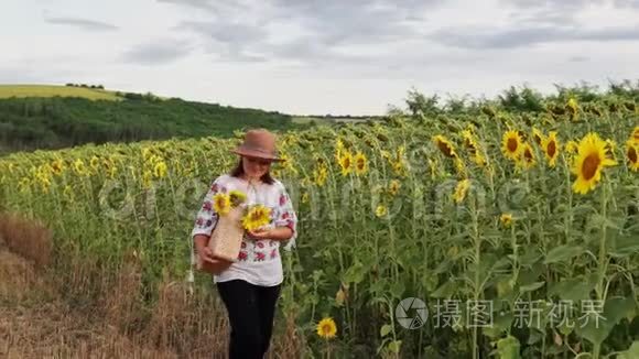 戴着帽子的年轻美女穿过田野视频