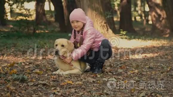 带拉布拉多犬的女孩视频