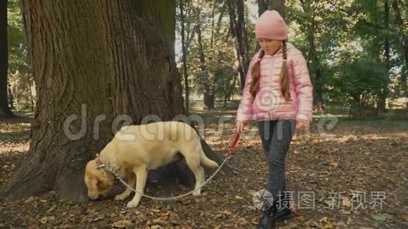 带拉布拉多犬的女孩视频