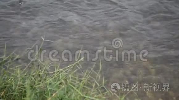 下午河水流淌视频