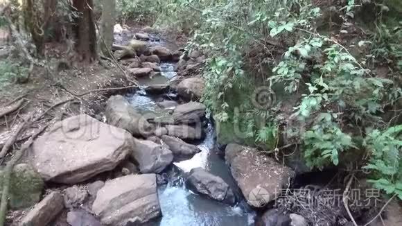 卡鲁拉森林瀑布景观视频