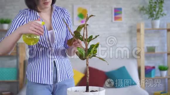 年轻的女人照料着叶子靠近的植物