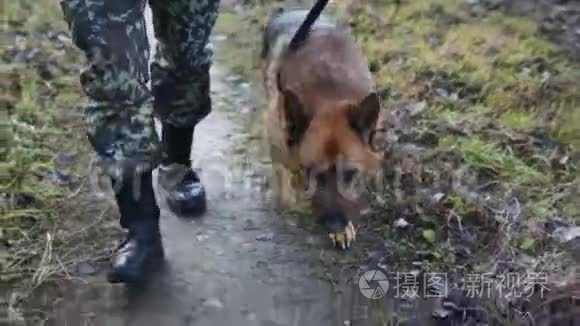 狗和一名士兵在边境巡逻视频