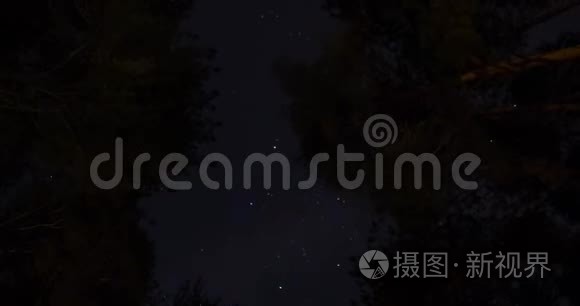 树顶星视频