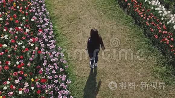 女孩骑在郁金香的田野上