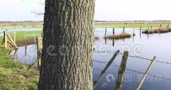 德国雷克的博格景观与阳光视频