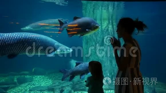 妈妈和女儿在大型水族馆里看鱼视频