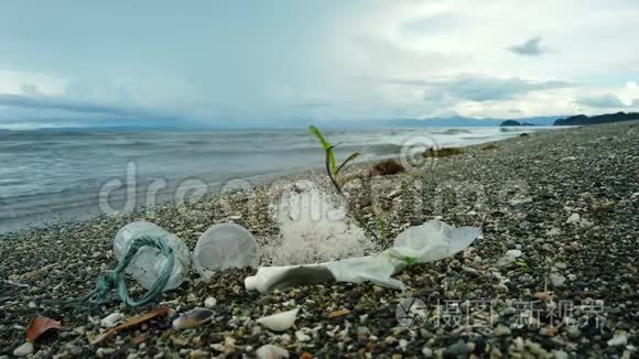 海滩被塑料和废物污染。