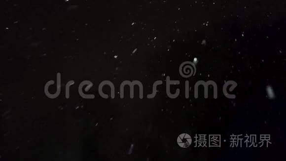 白色雪花飘落在黑色背景下视频