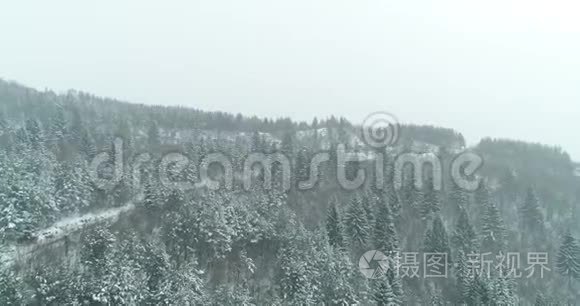 冬天在山上的雪道槽林视频