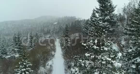 冬天在山上的雪道槽林