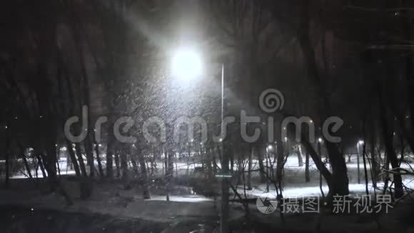 白色的雪花飘落的夜光轴视频