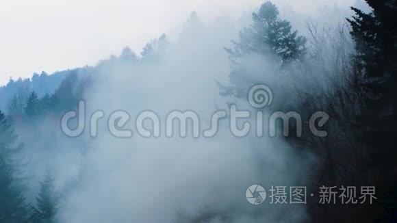 山中神秘的雾气森林视频