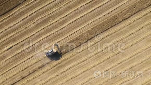 联合收割机在农田中收集麦粒，俯视