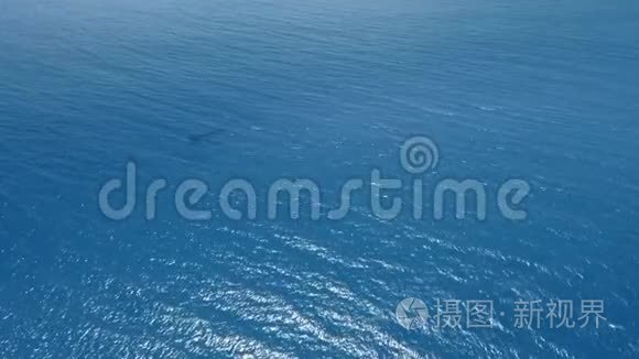 空中摄像机捕捉平静的蔚蓝海洋视频