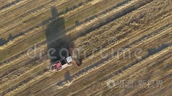 联合收割机在农田空中俯视采集谷物