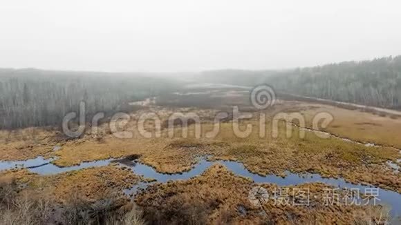 在浓雾下，在一片死林中，无人机在河上盘旋。 加拿大马尼托巴省麦克吉利夫雷瀑布