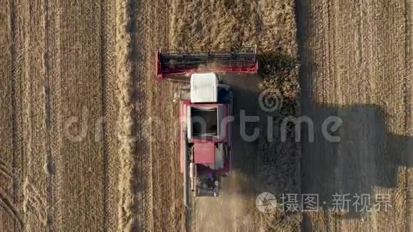 农业田田空中俯视采集熟粮小麦视频