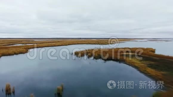 在阴天，用灌丛在湖面上移动。 加拿大马尼托巴省北湖