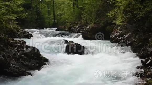 山野河流经绿色森林视频