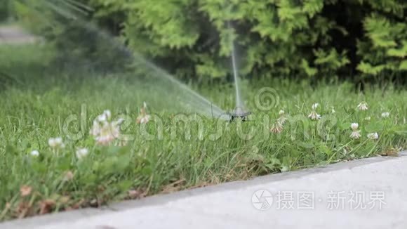 自动灌溉系统，草坪喷淋喷淋机在行动中浇灌草和植物..