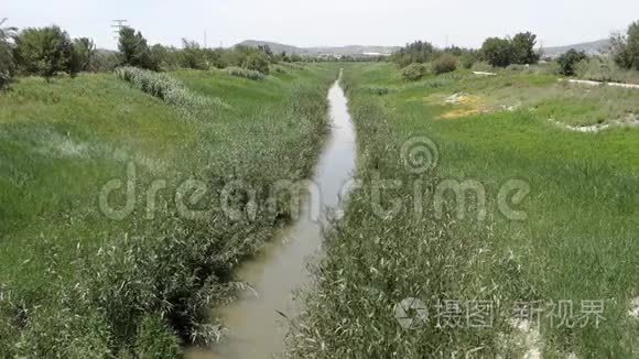 河流芦苇流淌视频