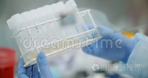 在实验室做实验的女科学家。 科学家手拿试管.