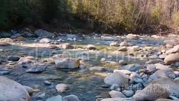 加拿大山景中美丽的河景视频