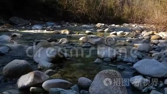 加拿大山景中美丽的河景视频