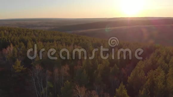 鸟瞰日落时美丽的秋林，绿松树.. 山峦叠嶂，山峦叠翠视频的预览图