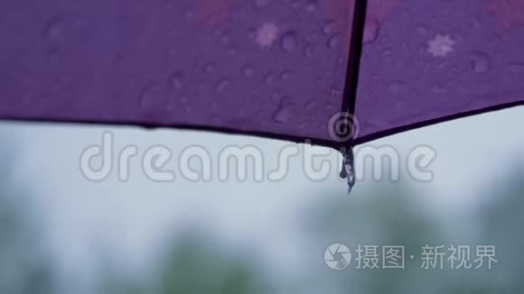 水滴在雨伞上视频