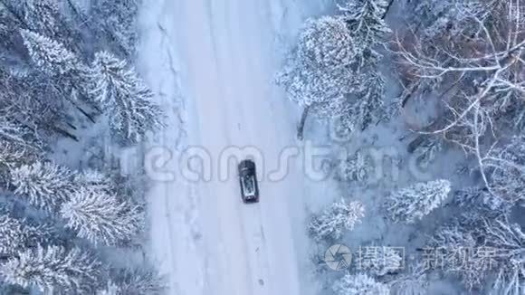 冬季森林道路上的孤独车辆视频