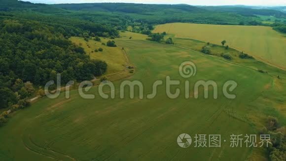 阳光明媚的夏日，空中无人驾驶飞机飞过森林覆盖的山坡。