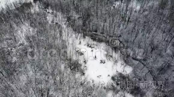 冬季在森林上空进行空中射击