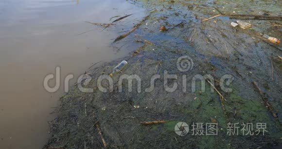 淡水河污染水面视频