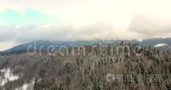 高山积雪覆盖的森林鸟瞰图视频