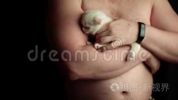 肌肉男把白色小猫抱在怀里视频