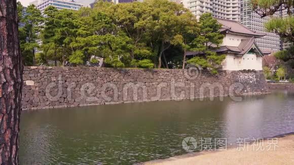 东京故宫护城河上松树的潘视频视频