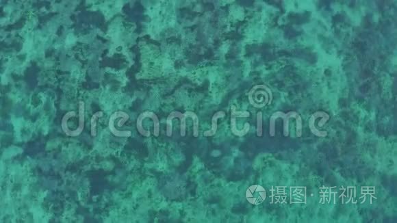 浅海的绿松石透明海水视频