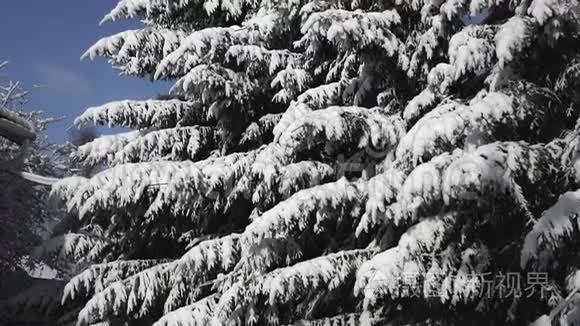 蓝天白云背景下的雪泥