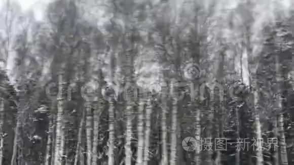 冬季森林雪道之旅，欧洲风景优美的汽车窗景，旅游全景和自然景观