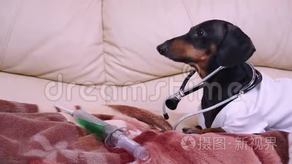 戴着医用外套的大猎犬，用听诊器注射抗病毒疫苗