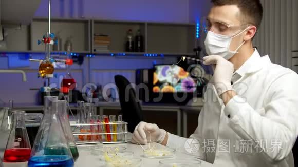 科学家在实验室检查芽视频